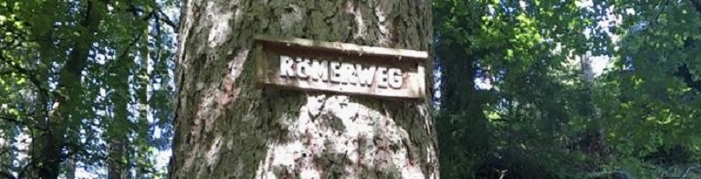 47fe81f6-290d-4218-a6a6-e73feaaf599e